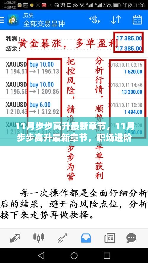 职场进阶手册，11月步步高升，开启上升通道新篇章