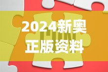 龙飞九五 第5页