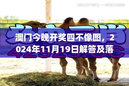 衣不重彩 第5页