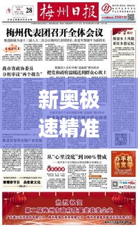 比翼鸟 第5页