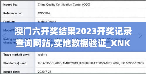 澳门六开奖结果2023开奖记录查询网站,实地数据验证_XNK92.998梦想版