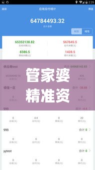 管家婆精准资料免费大全香港,专业数据解释设想_AEY92.386时尚版