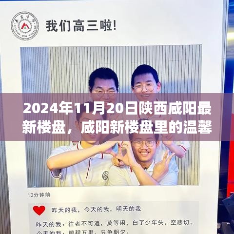 陕西咸阳最新楼盘的温馨故事，家的温暖与友情的绽放（2024年11月20日）