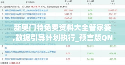 新奥门特免费资料大全管家婆,数据引导计划执行_预言版QNG9.14