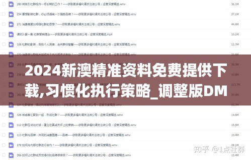 2024新澳精准资料免费提供下载,习惯化执行策略_调整版DMV2.66