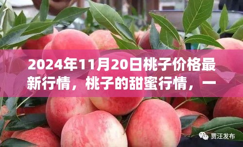 虫蚀鸟步 第5页