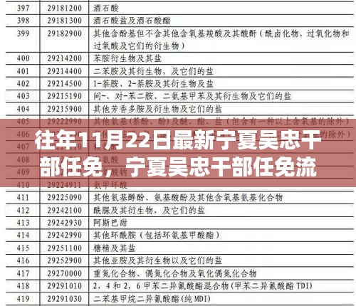 宁夏吴忠干部任免详解，参与决策过程的步骤与流程揭秘