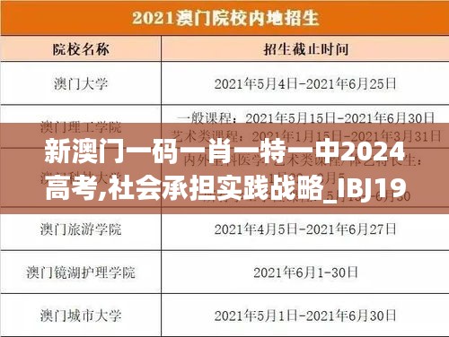 新澳门一码一肖一特一中2024高考,社会承担实践战略_IBJ19.6