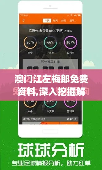 澳门江左梅郎免费资料,深入挖掘解释说明_LGJ9.73