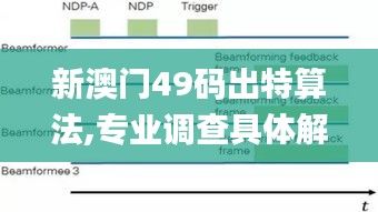 新澳门49码出特算法,专业调查具体解析_VTU19.9