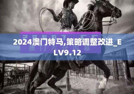 2024澳门特马,策略调整改进_ELV9.12