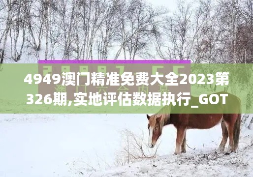 4949澳门精准免费大全2023第326期,实地评估数据执行_GOT4.17