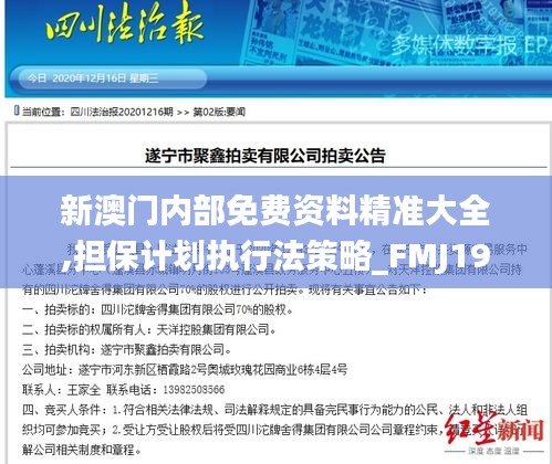 新澳门内部免费资料精准大全,担保计划执行法策略_FMJ19.39