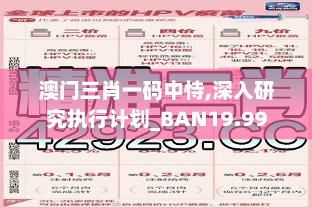 澳门三肖一码中恃,深入研究执行计划_BAN19.99