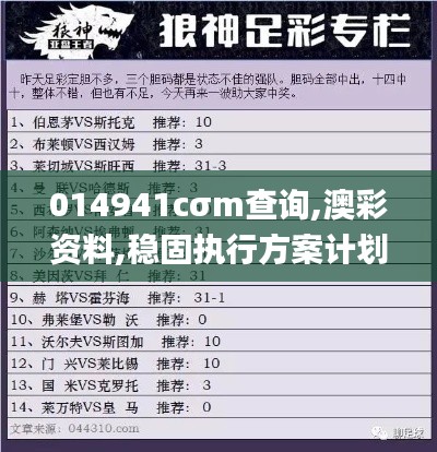 014941cσm查询,澳彩资料,稳固执行方案计划_MYF9.27