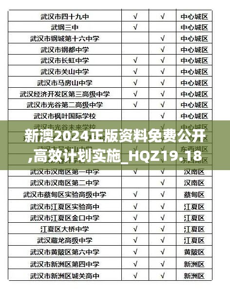 新澳2024正版资料免费公开,高效计划实施_HQZ19.18