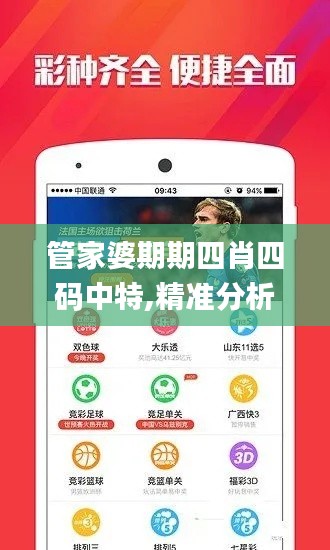 管家婆期期四肖四码中特,精准分析实践_KIH9.27