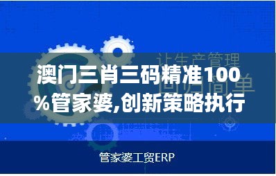 澳门三肖三码精准100%管家婆,创新策略执行_艺术版LGE5.95