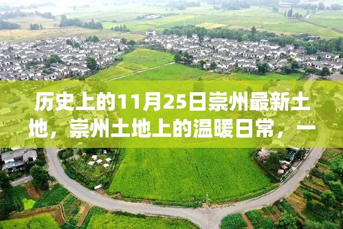 宵衣旰食 第5页