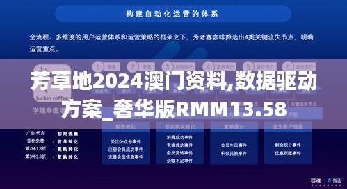 芳草地2024澳门资料,数据驱动方案_奢华版RMM13.58
