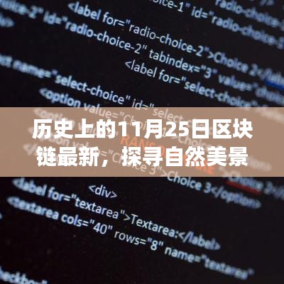 飞蛾扑火 第5页