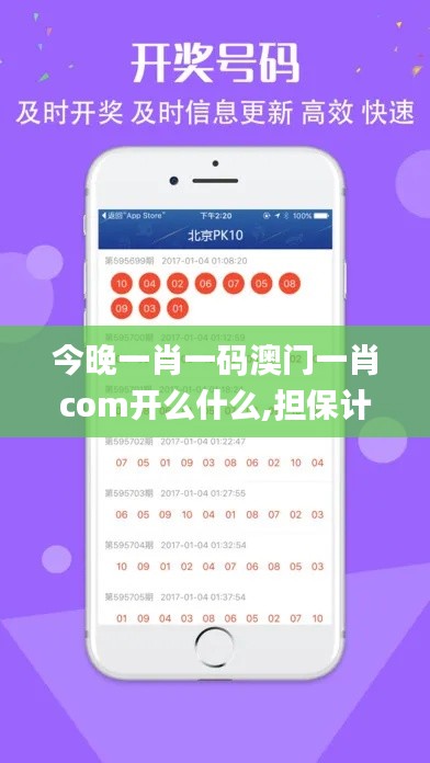 今晚一肖一码澳门一肖com开么什么,担保计划执行法策略_体验版RHP13.12