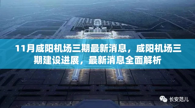 美如冠玉 第4页