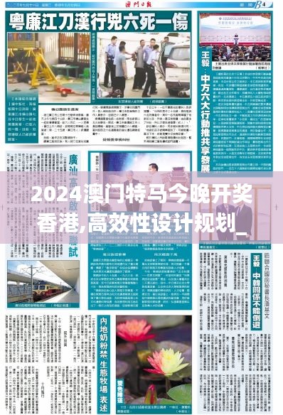 2024澳门特马今晚开奖香港,高效性设计规划_生态版ZFU7.19