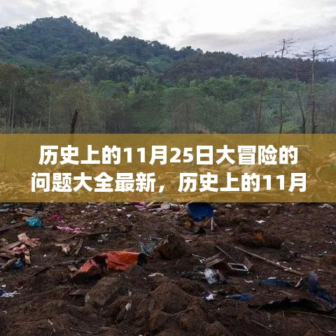 揭秘历史大冒险，揭秘神秘事件与未知真相的终极问答宝典——历史上的11月25日大冒险最新问题大全📜