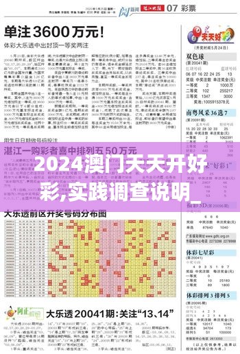 2024澳门天天开好彩,实践调查说明_VR版UCY7.60