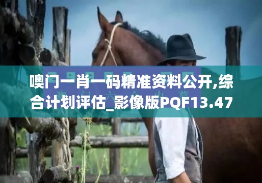 夯雀儿先飞 第4页