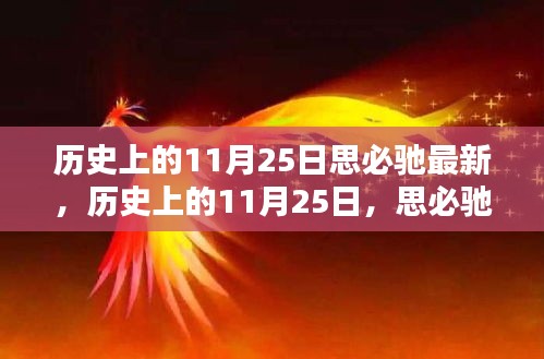 张皇铺饰 第5页