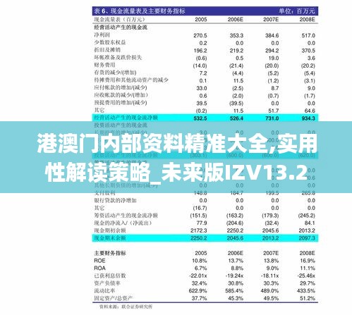 港澳门内部资料精准大全,实用性解读策略_未来版IZV13.2
