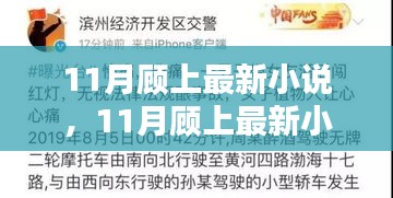 11月顾上最新小说深度测评与介绍