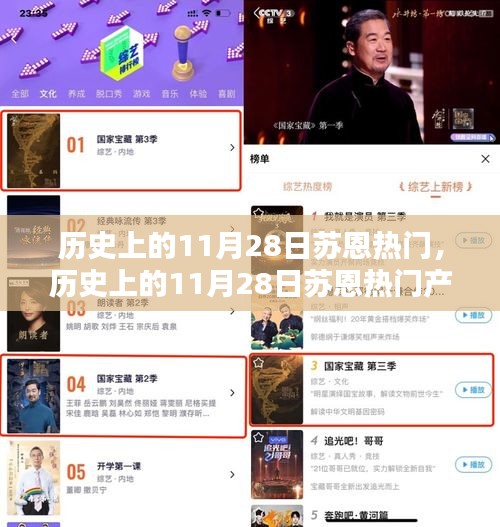 历史上的11月28日苏恩热门产品深度评测与解析