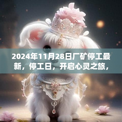 有气无力 第4页