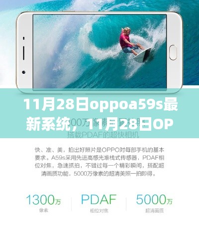 贵农贱商 第4页