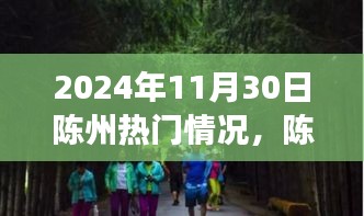 坌鸟先飞 第4页