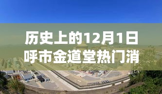 历史上的12月1日呼市金道堂热门消息深度解析，从某某观点看背后的故事