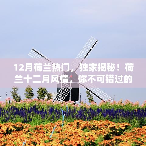 独家揭秘！荷兰十二月风情，精彩瞬间，不容错过！