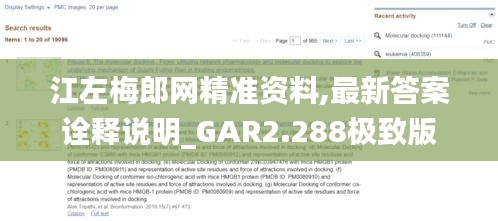 江左梅郎网精准资料,最新答案诠释说明_GAR2.288极致版