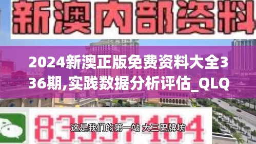 2024新澳正版免费资料大全336期,实践数据分析评估_QLQ45.718SE版