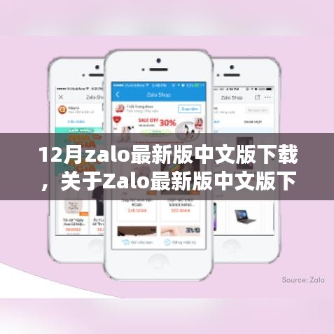揭秘Zalo最新版中文版下载，指南与犯罪风险警示