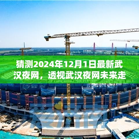 透视未来，2024年武汉夜网的新猜想与观点碰撞