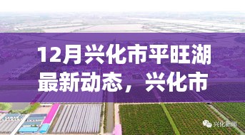 兴化市平旺湖最新动态，聚焦发展影响与各方观点热议
