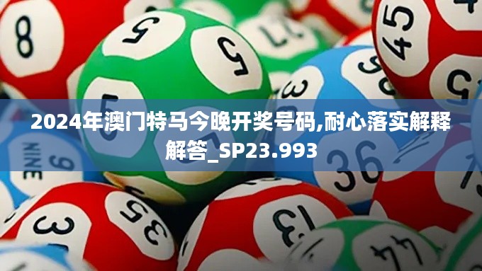 2024年澳门特马今晚开奖号码,耐心落实解释解答_SP23.993