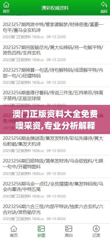 澳门正版资料大全免费噢采资,专业分析解释定义_The41.709