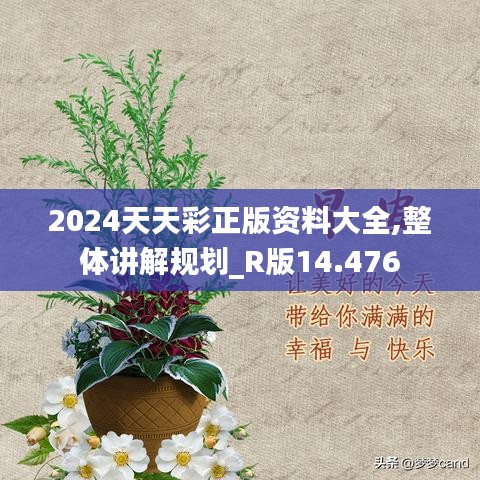 2024天天彩正版资料大全,整体讲解规划_R版14.476