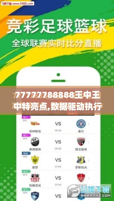 77777788888王中王中特亮点,数据驱动执行方案_豪华版44.528