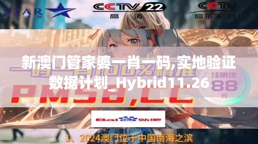 新澳门管家婆一肖一码,实地验证数据计划_Hybrid11.26